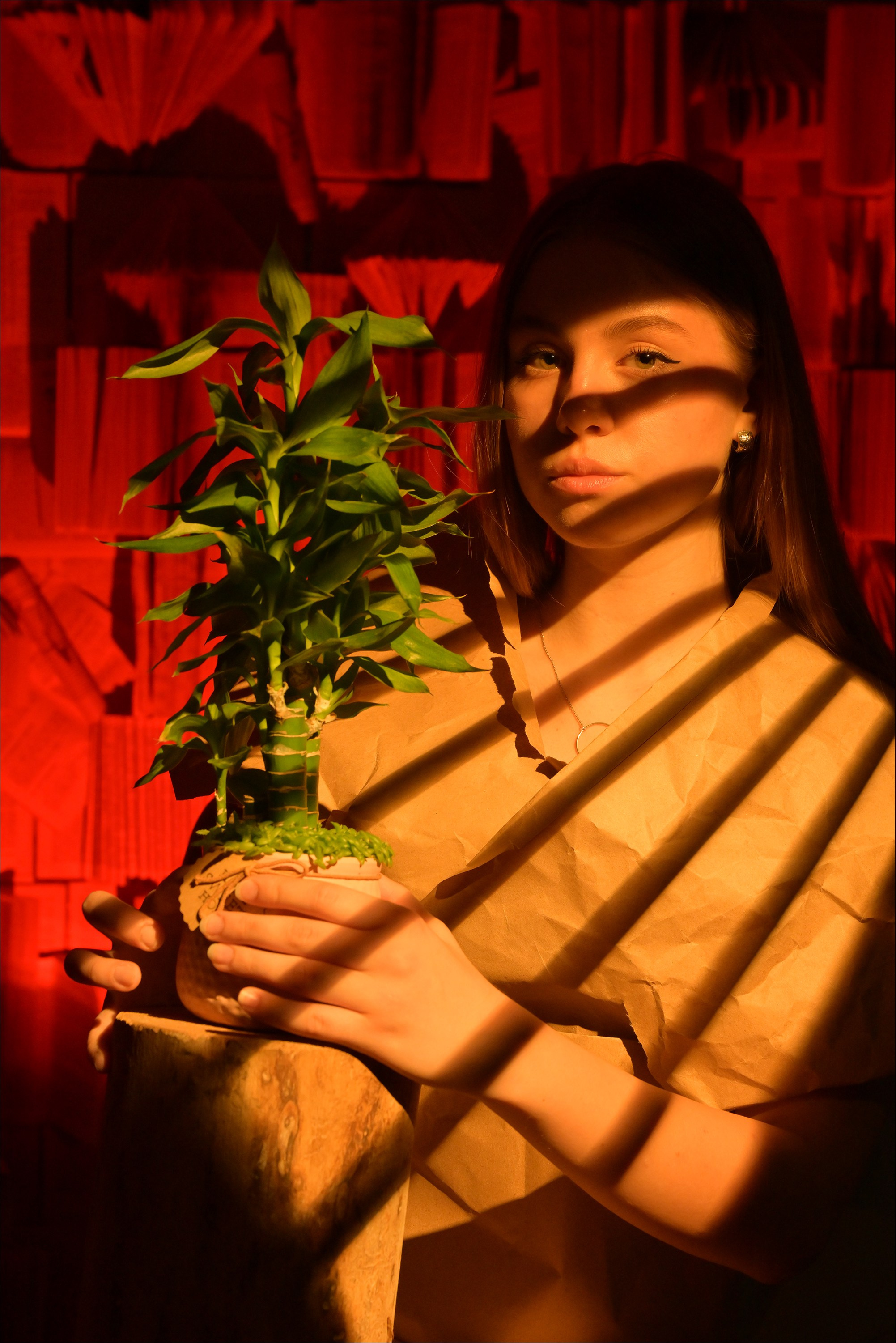Философия портрета XIX поток. Platon Photographer