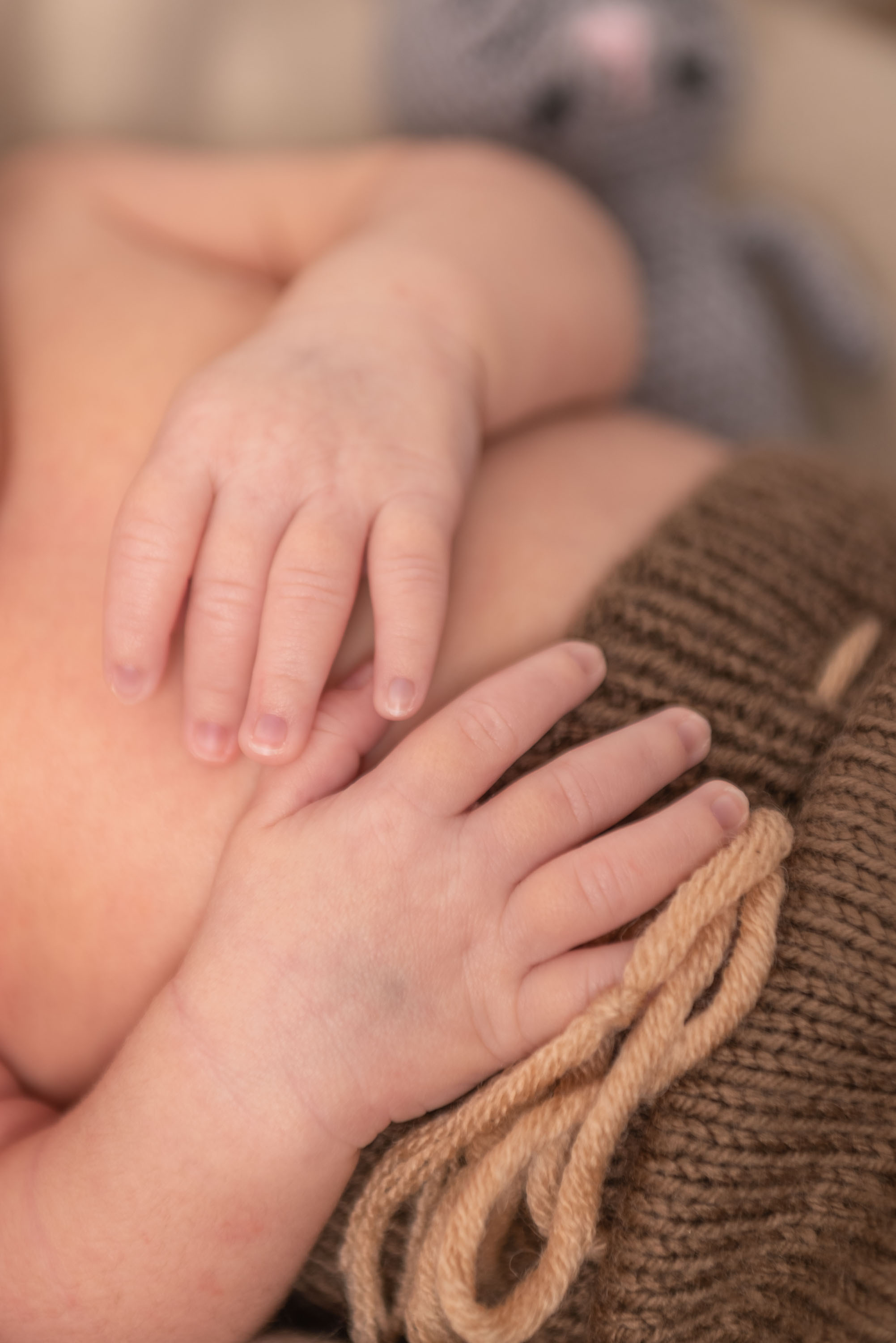 Семейный и детский фотограф в Новомосковске Елена Маврина