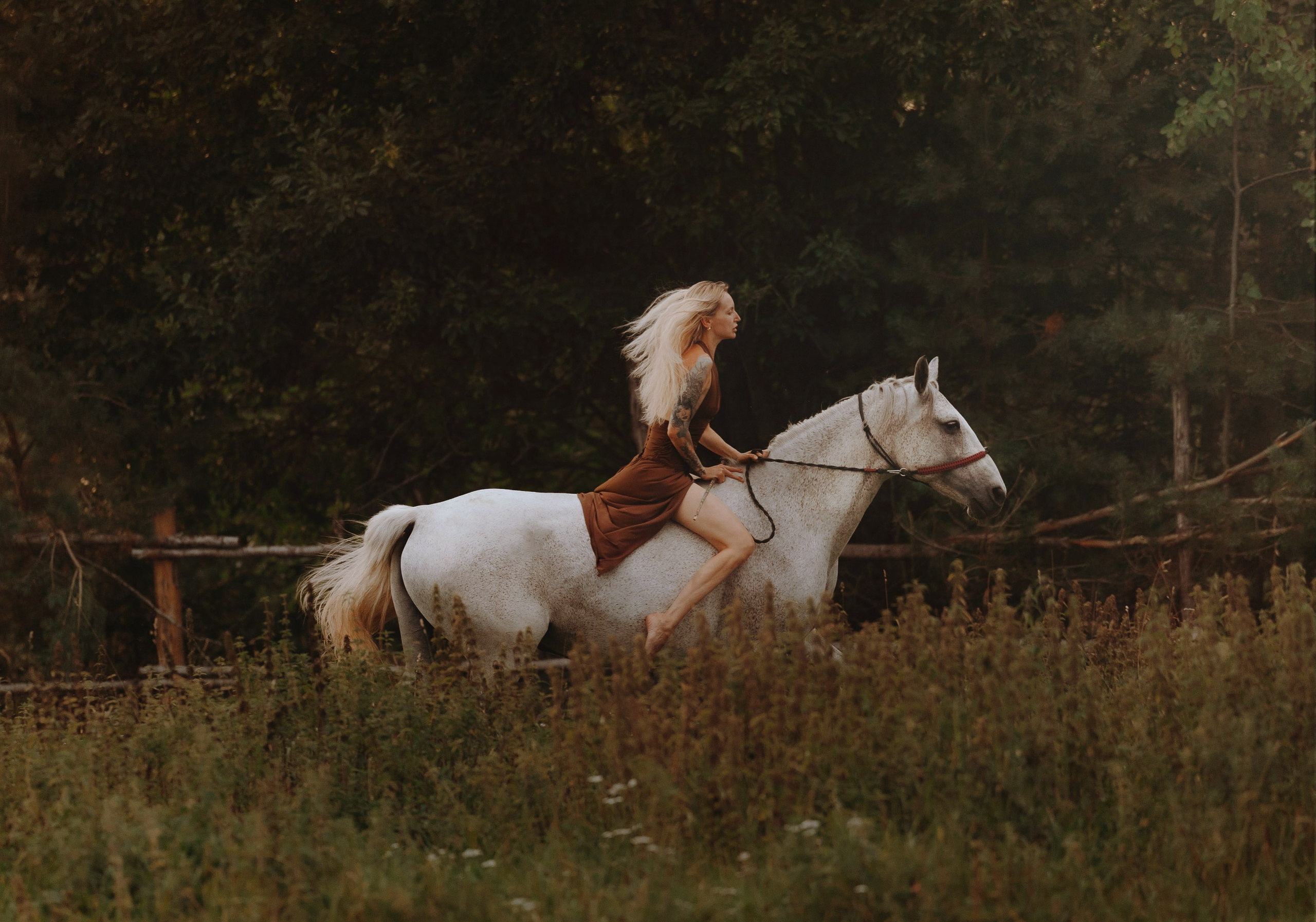 Фотосессия с лошадью в Петрозаводске