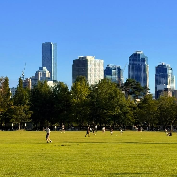 Газон и небоскрёбы в парке Citizens Park, Пусан