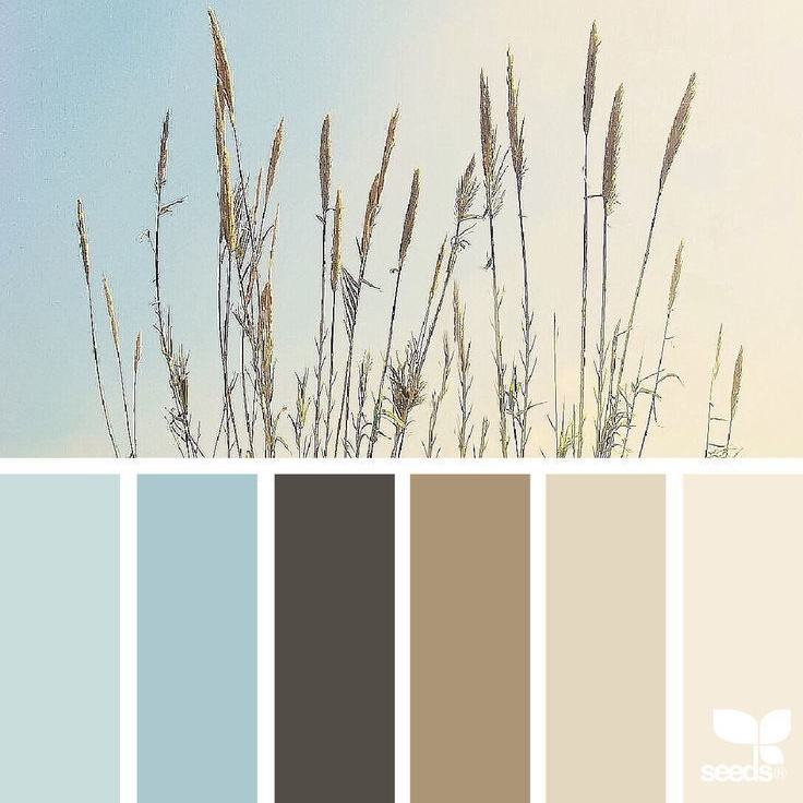 Локации и их цветовые гармонии. Степанова Анна.Детский и семейный фотограф Крым