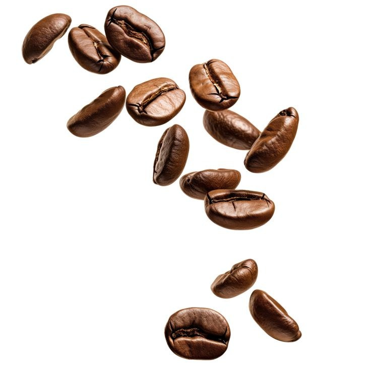 Кофемашины Рожковые