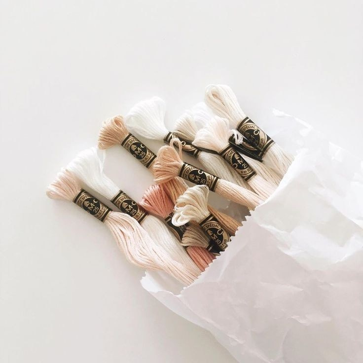 Соколёна. Фотограф Надежда Миронова Вологда