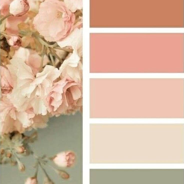 Локации и их цветовые гармонии. Степанова Анна.Детский и семейный фотограф Крым