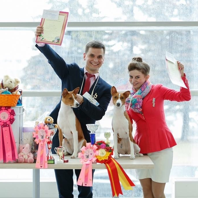 Правила присовения титулов РКФ