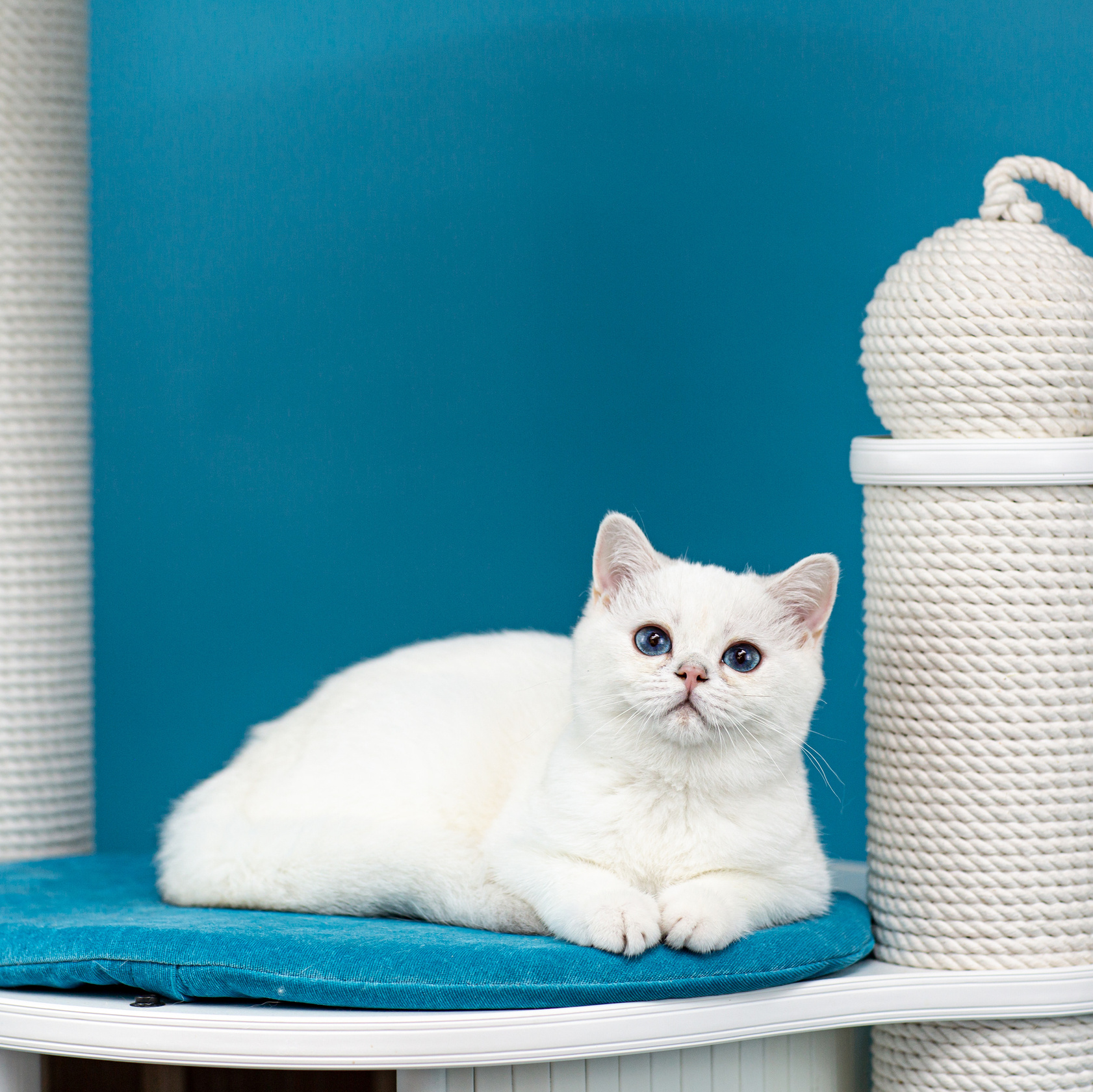 Услуги. Свадебный и семейный фотограф Елизавета Ермак | Москва и МО