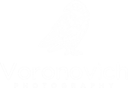 voronovich-photo.wfolio.pro