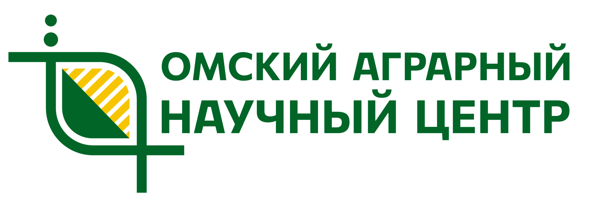 G-visual | grebnev.visual | Видеограф | Андрей Гребнев