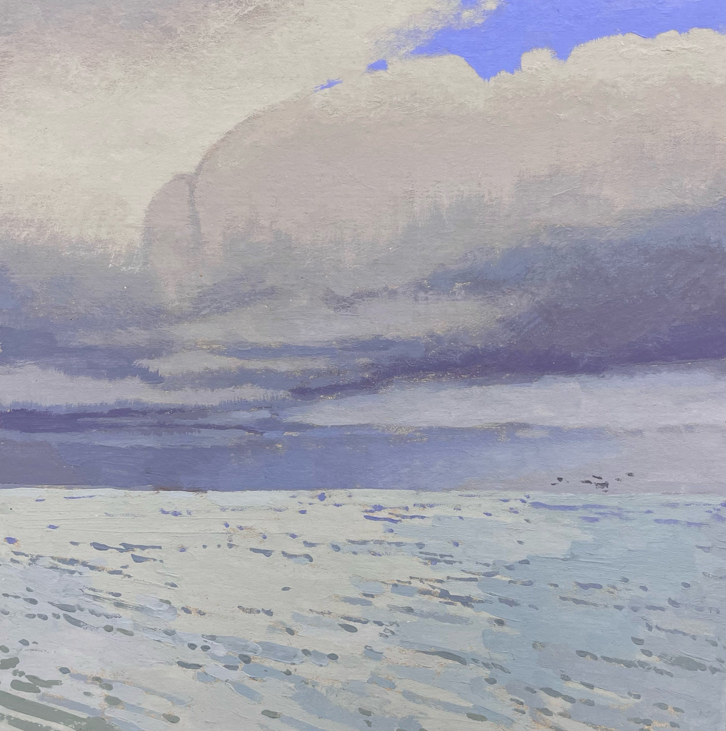 Художница Лиза Владимирова