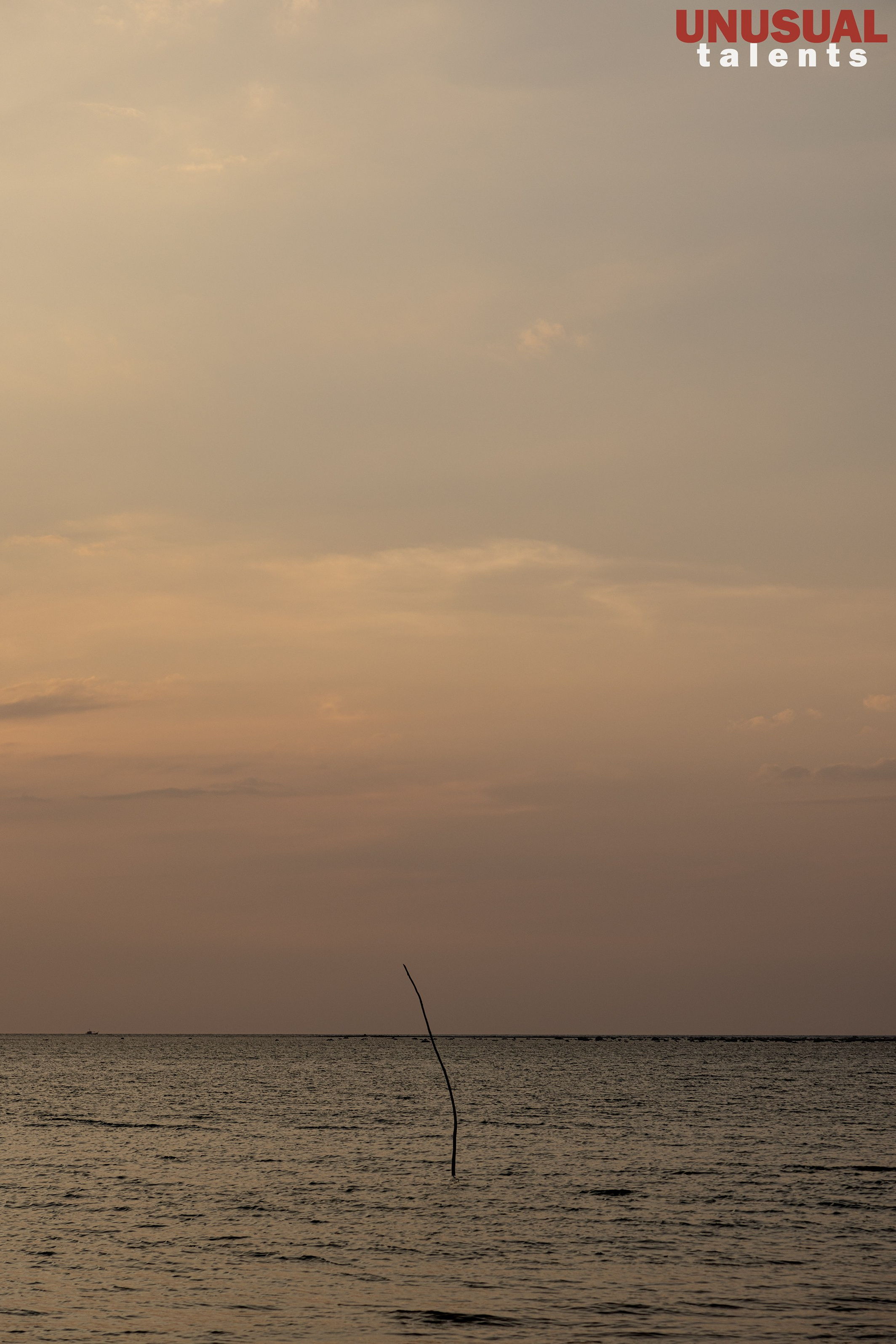 Ekaterina Kott. UNUSUAL TALENT magazine