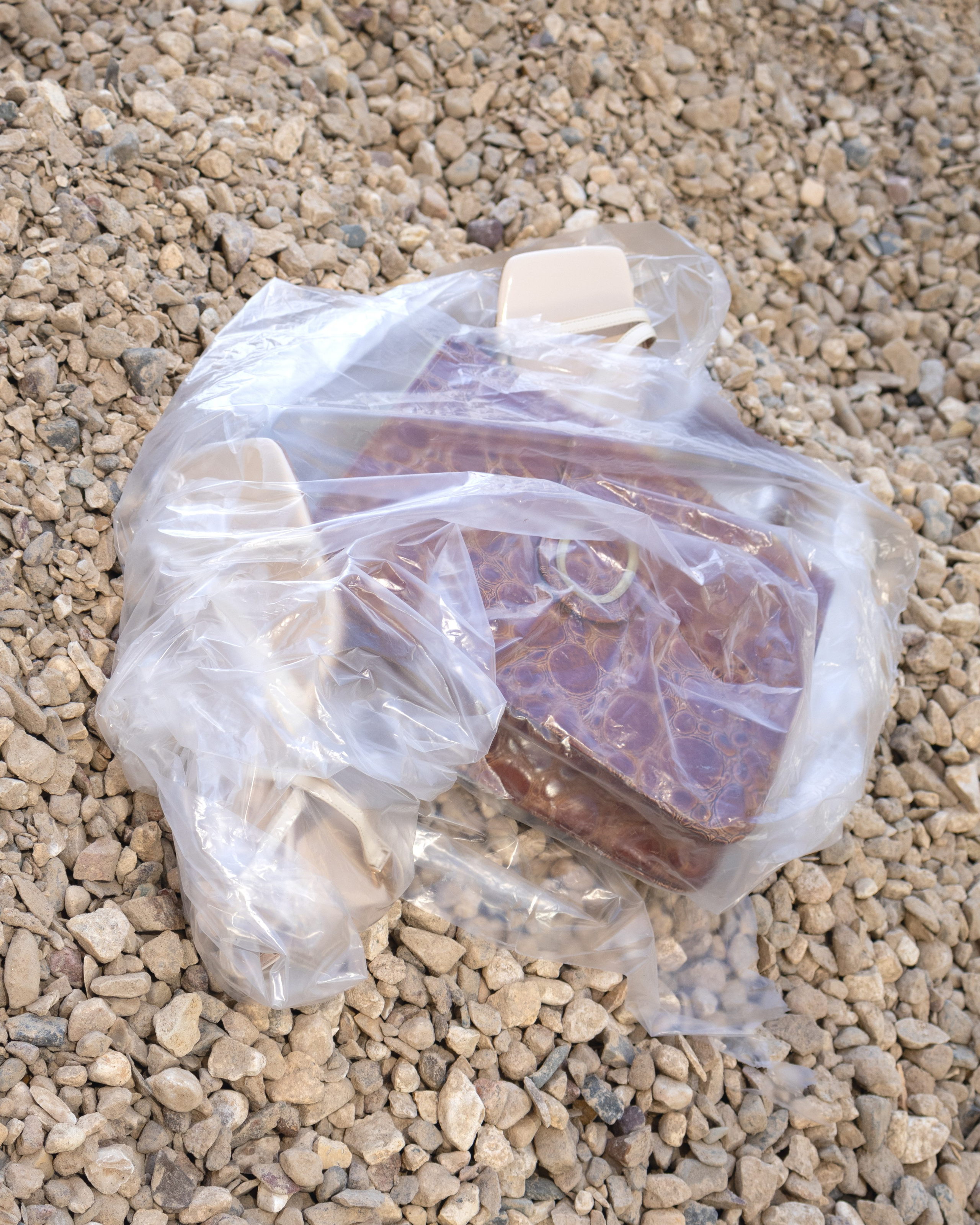 Art direction & Design | Curiosa