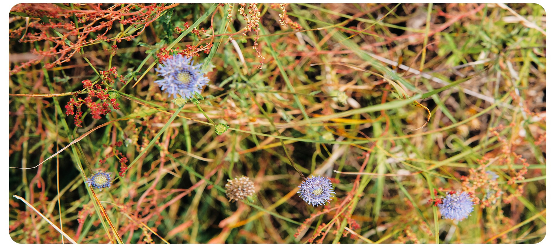 Калининград 1. Фотограф из Москвы — DASHA NOVA | Авторская фотография в разных жанрах