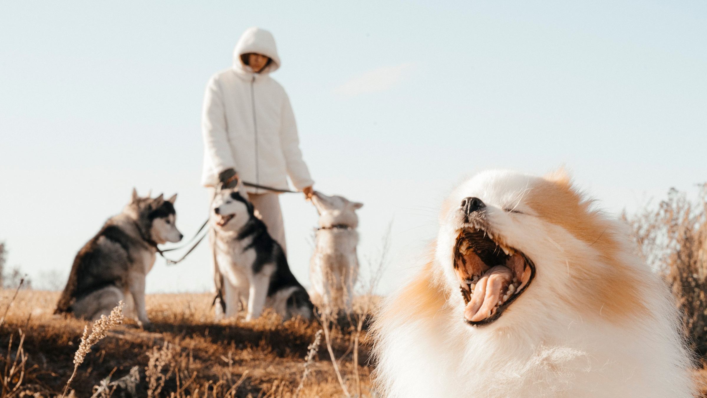 FASHION ФОТОГРАФ КАЗАНЬ