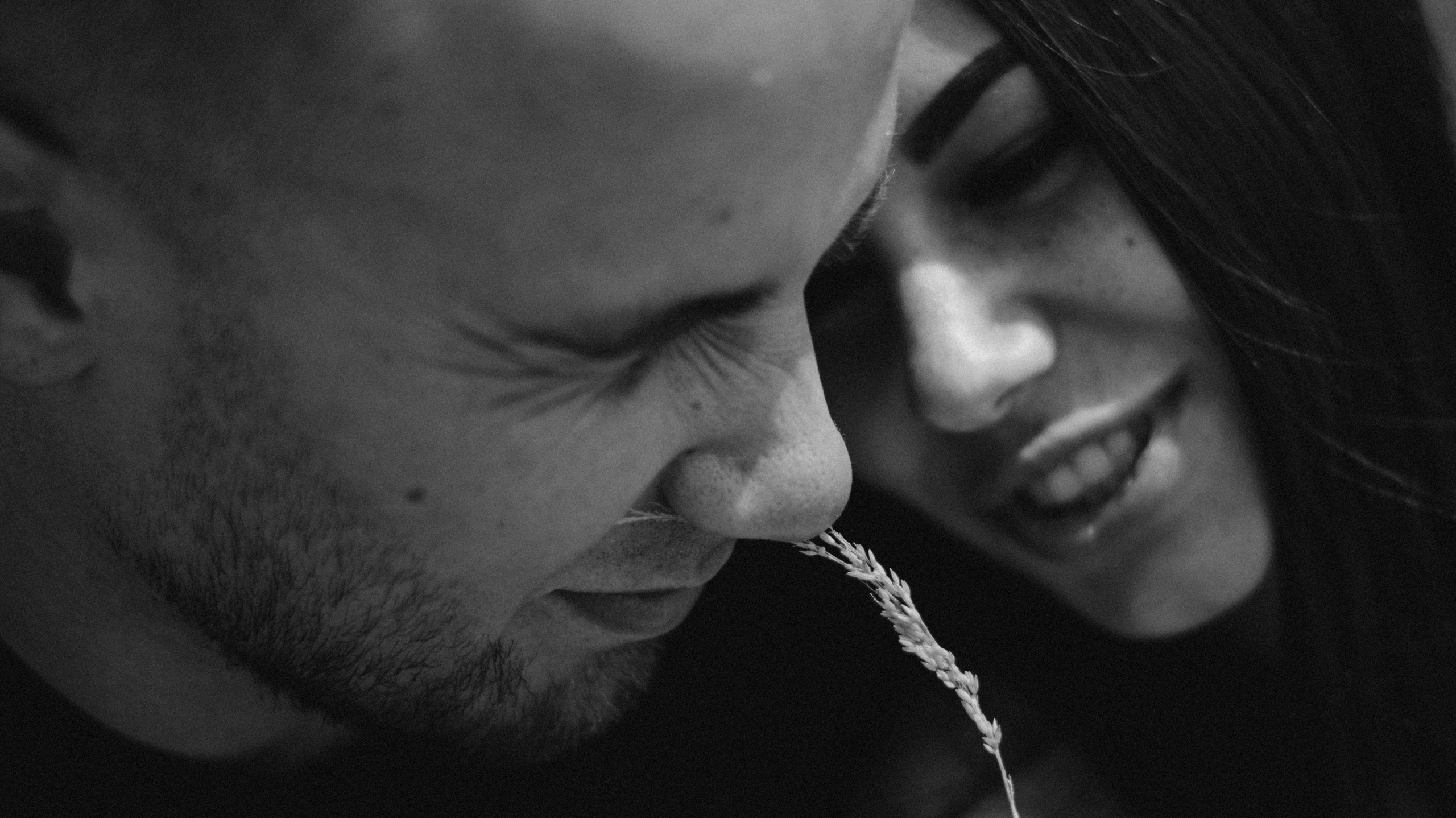 Услуги. Видеосъёмка в Краснодаре