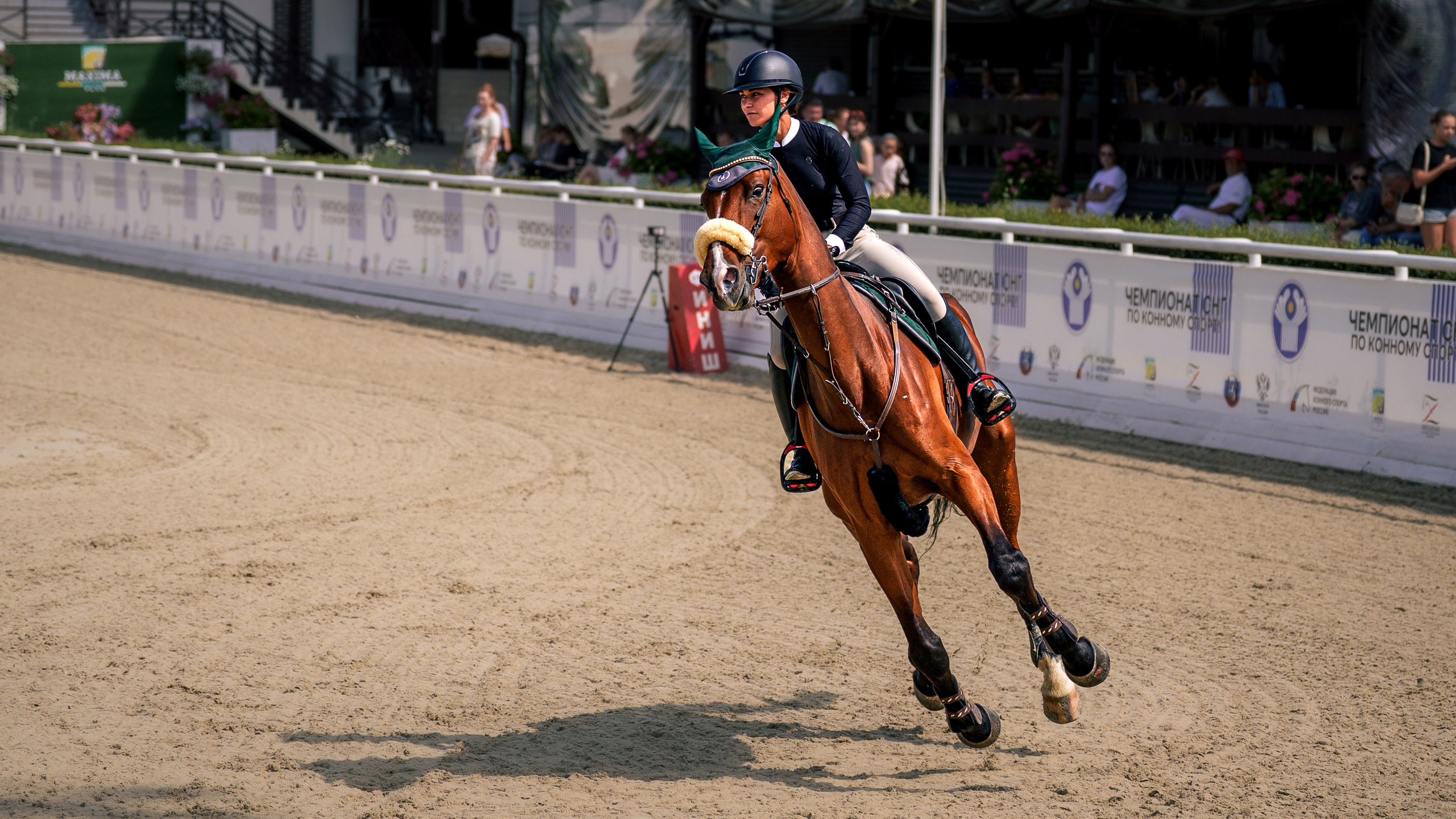 Конный спорт: лошадь с наездницей в виражe, четыре копыта в воздухе | TrendFrame