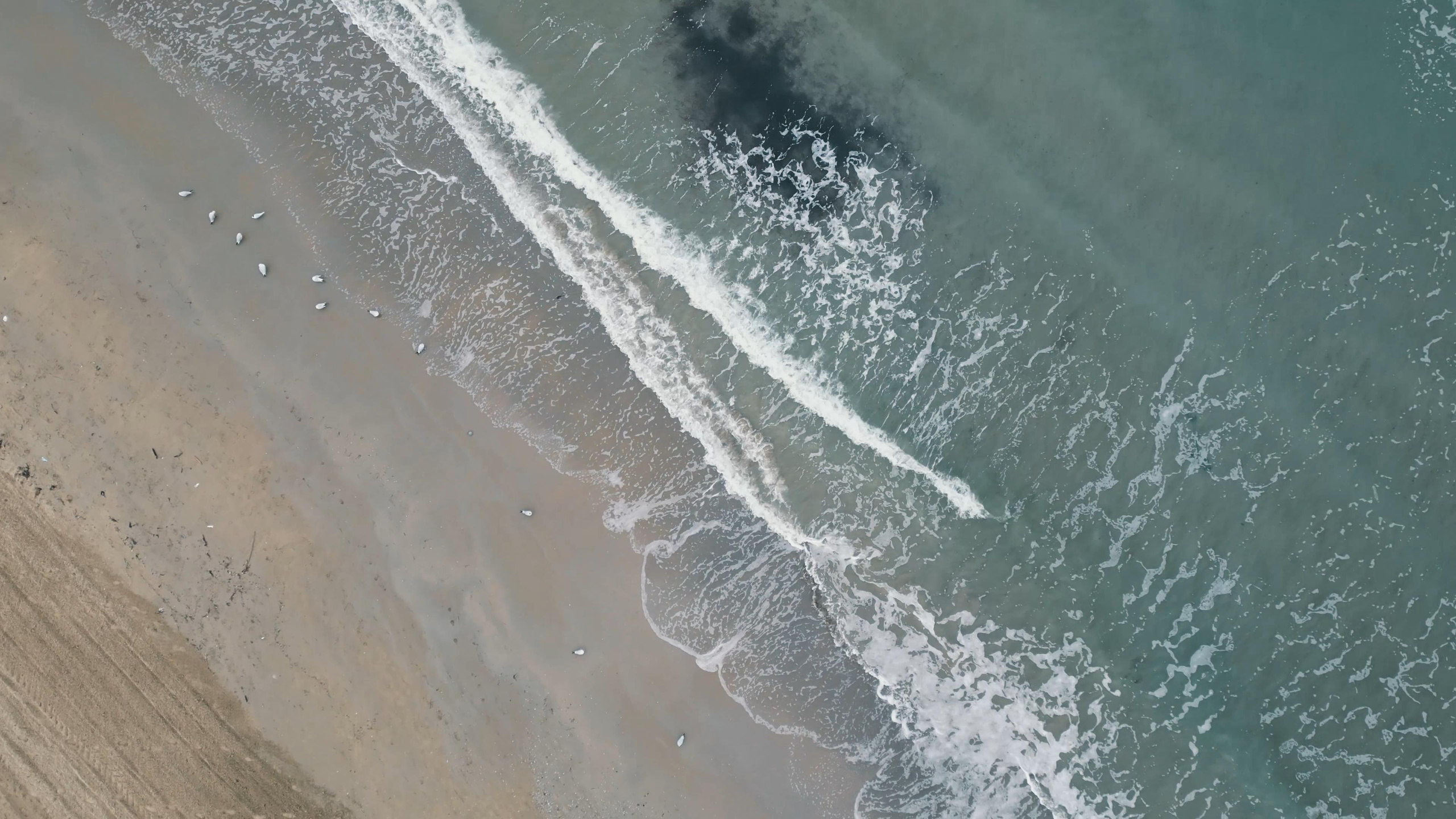 Фотограф и видеограф Елена Хмелевская