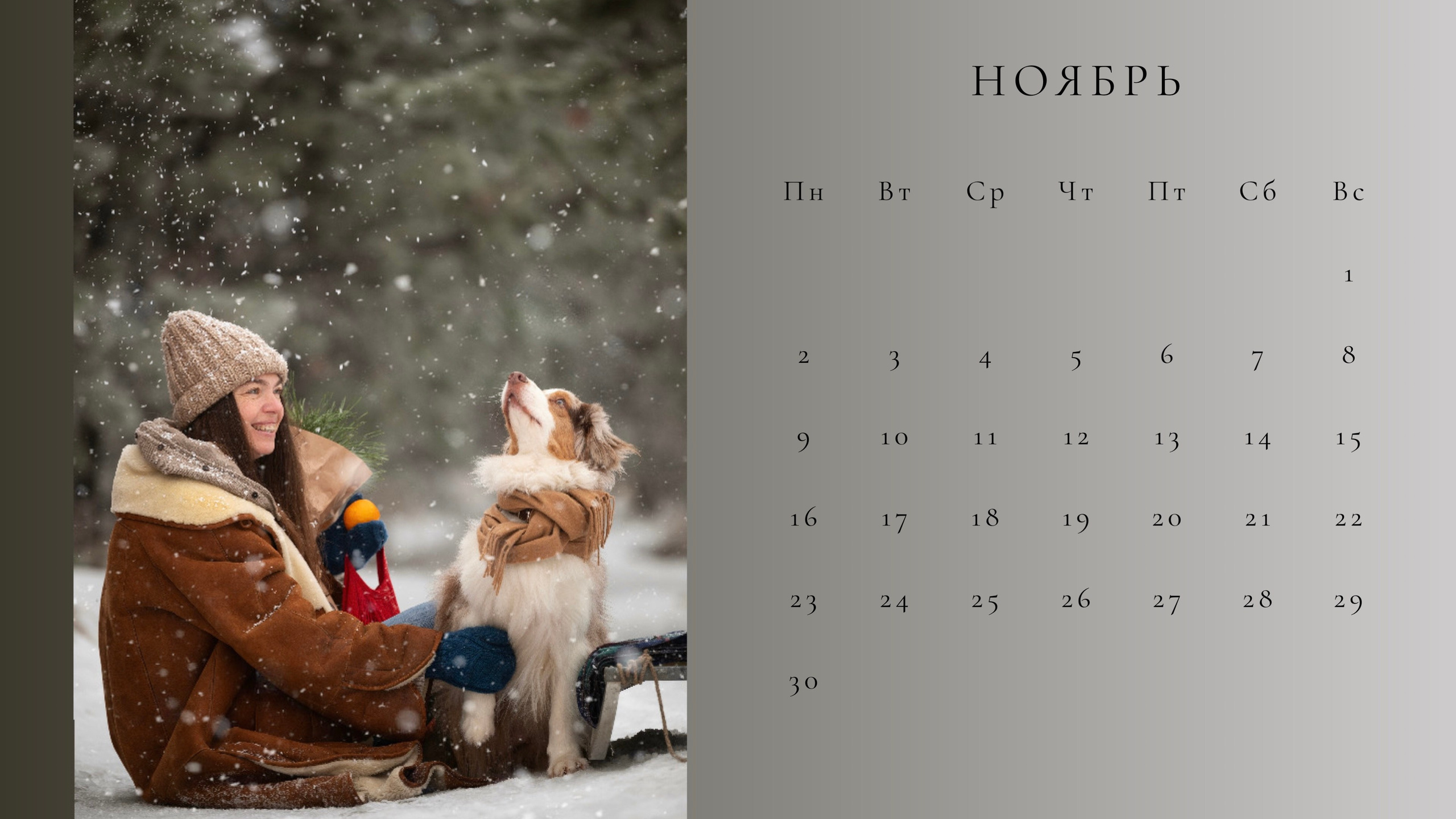 Свободные даты. Мила Астахова. Фотограф | видеограф анималист. Саратов и Энгельс