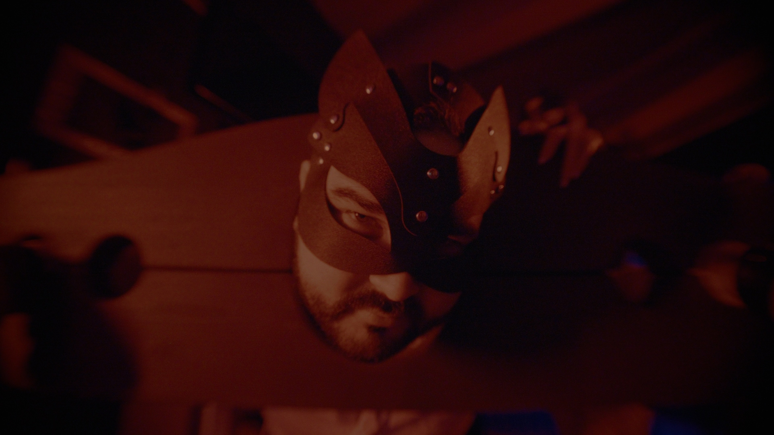 Услуги. Видеограф Москва BULLY PRODUCTION