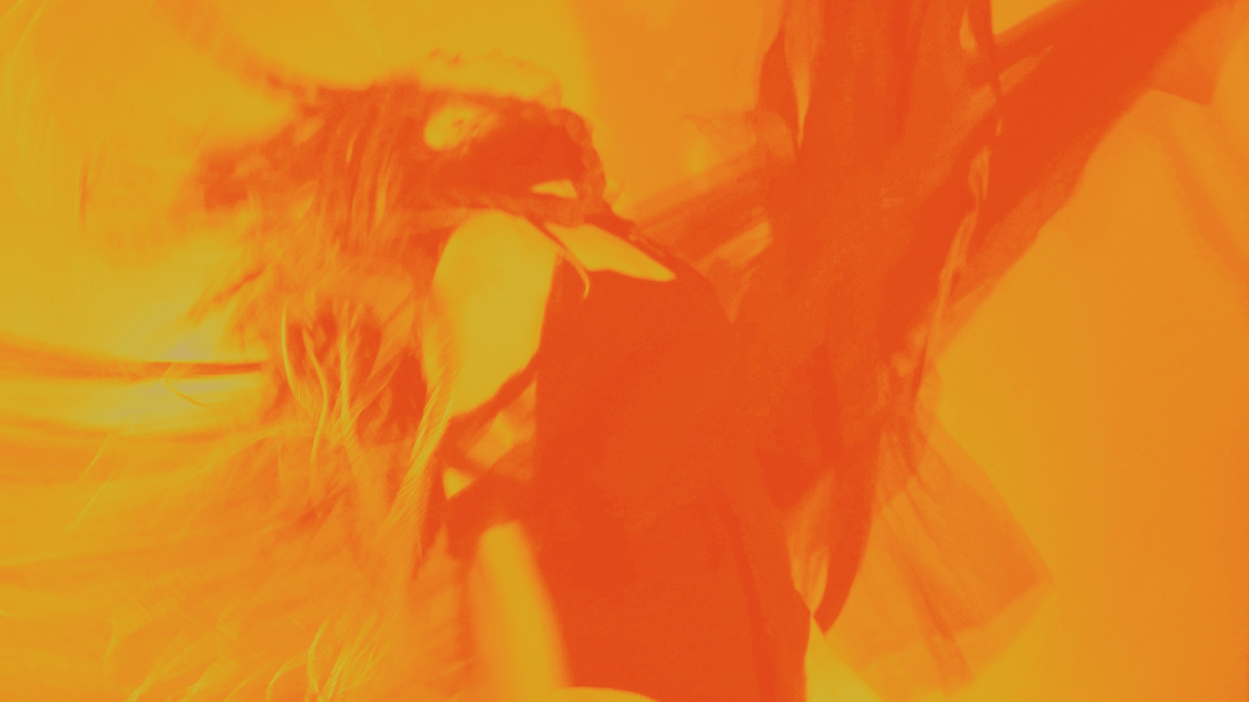 REBIRTH. NATALYA SEMIKOVA — VISUAL ARTIST| FILM DIRECTOR IN MOSCOW