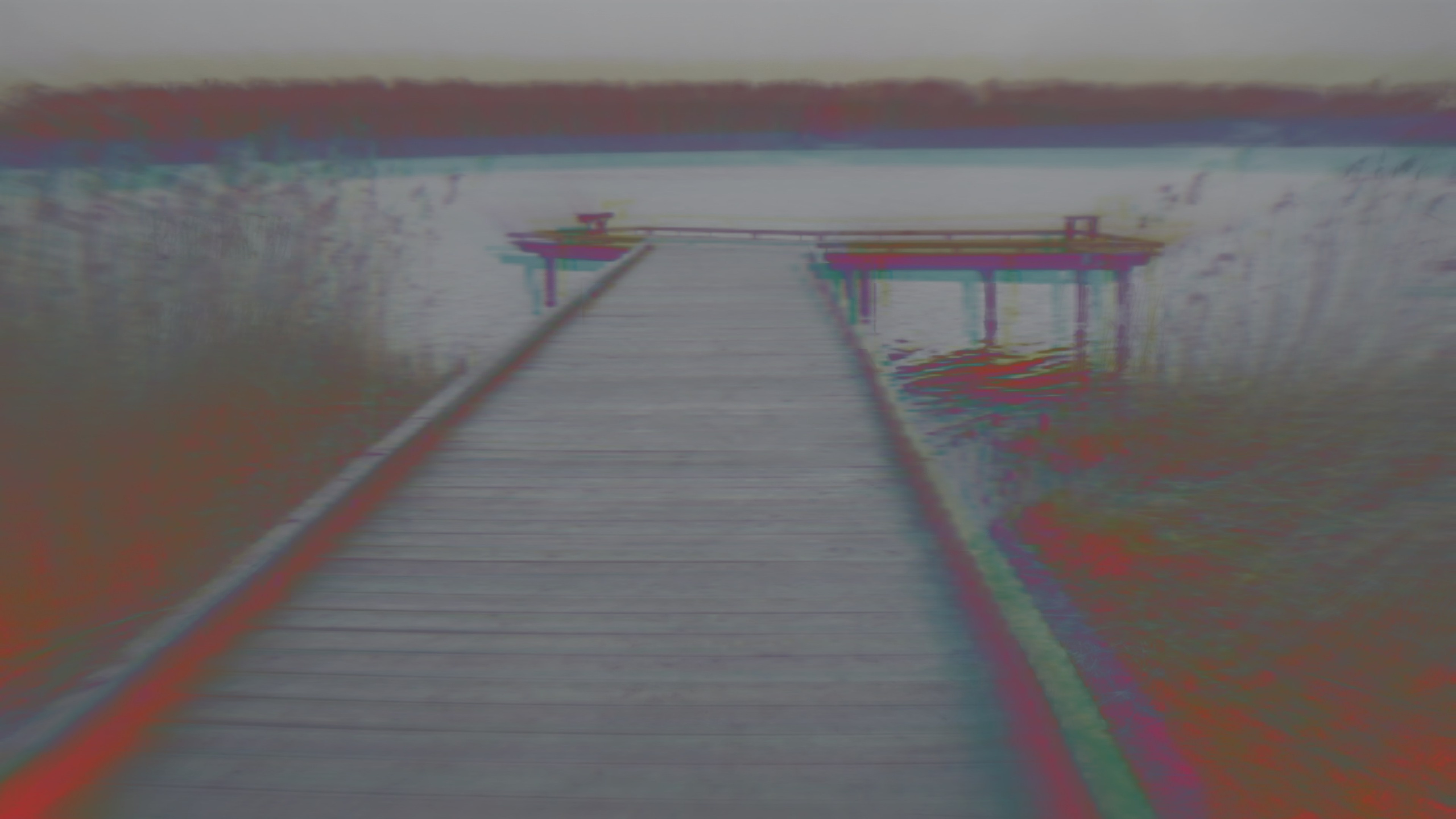 MERMAID. NATALYA SEMIKOVA — VISUAL ARTIST| FILM DIRECTOR IN MOSCOW