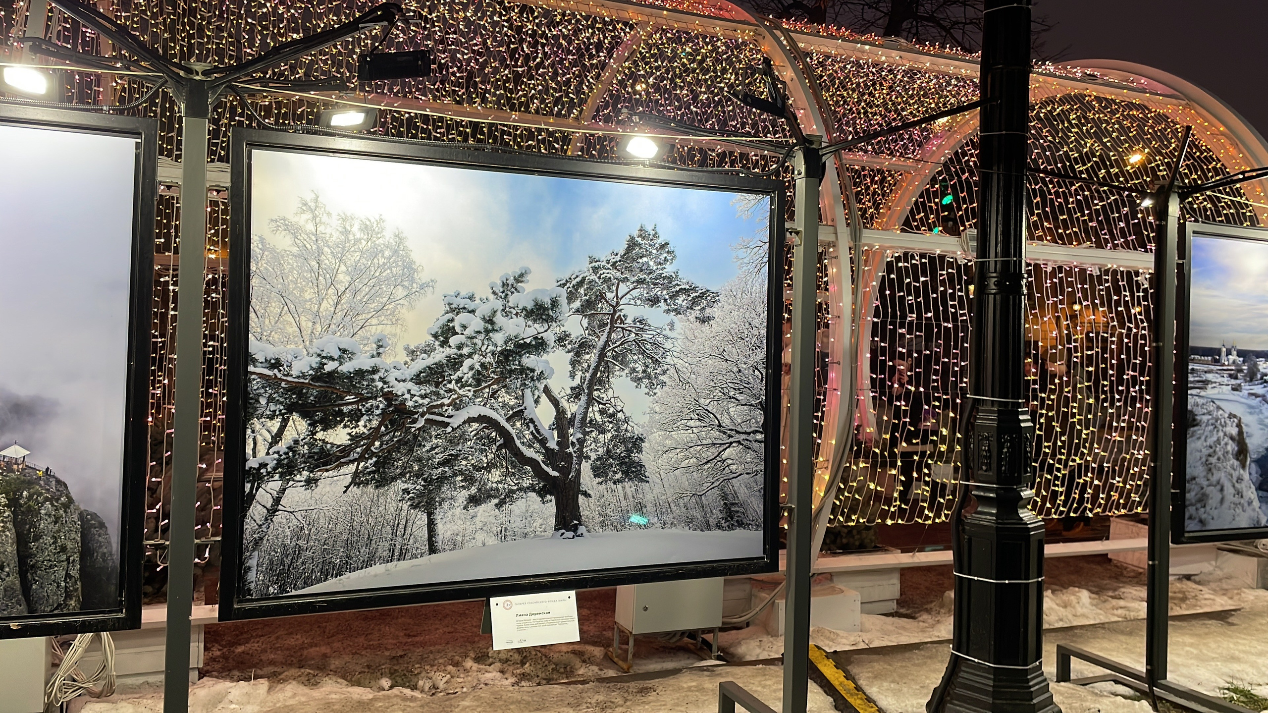 Галереи, выставки, арт-проекты. Visual artist, photographer Liana Darenskaya, Moscow