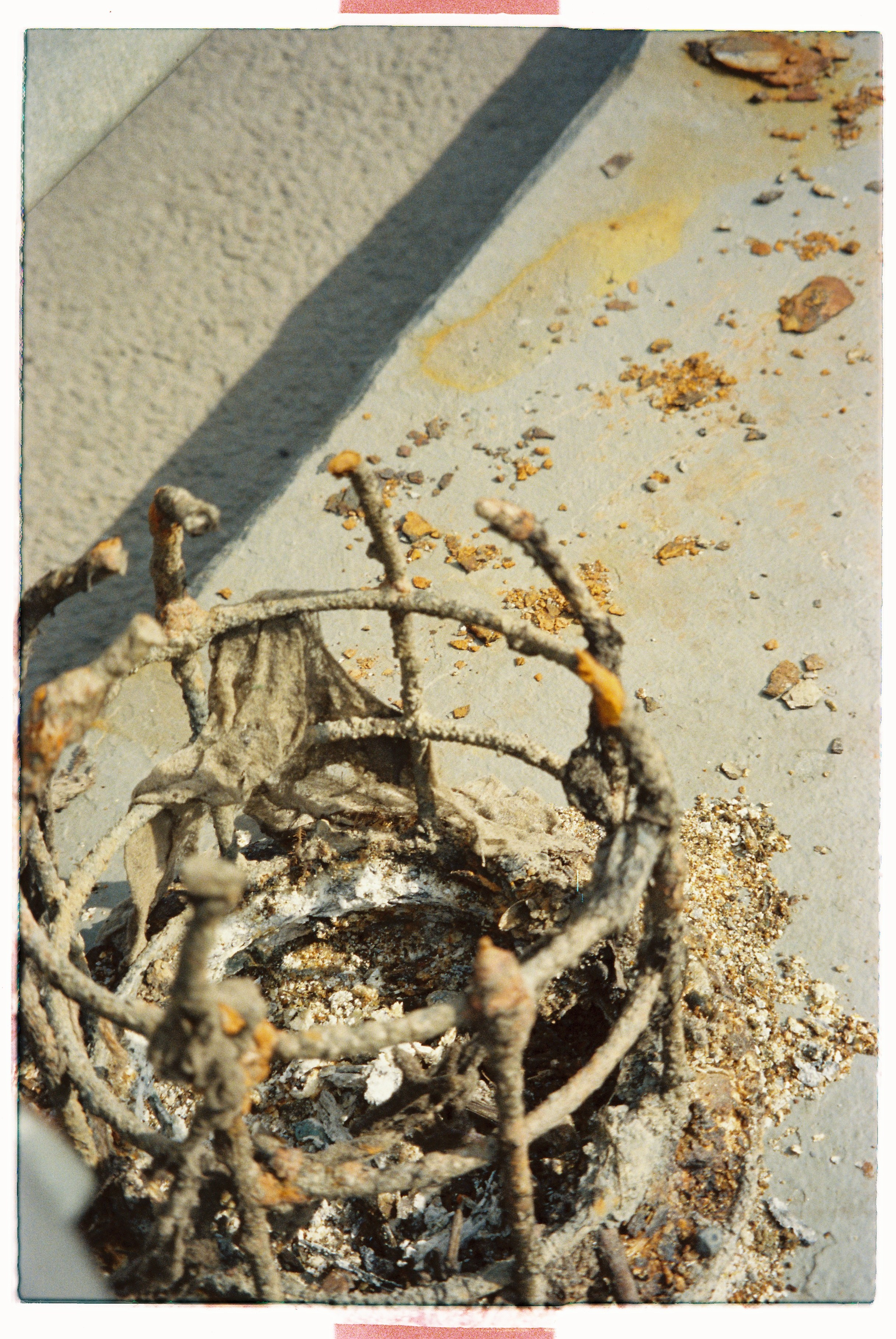 Journal. Photographer Dima Sharov | Фотограф Дима Шаров