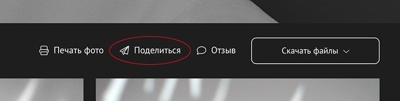 Как скачать фото с облачного диска. Фотограф в Барнауле Юлия Александрова