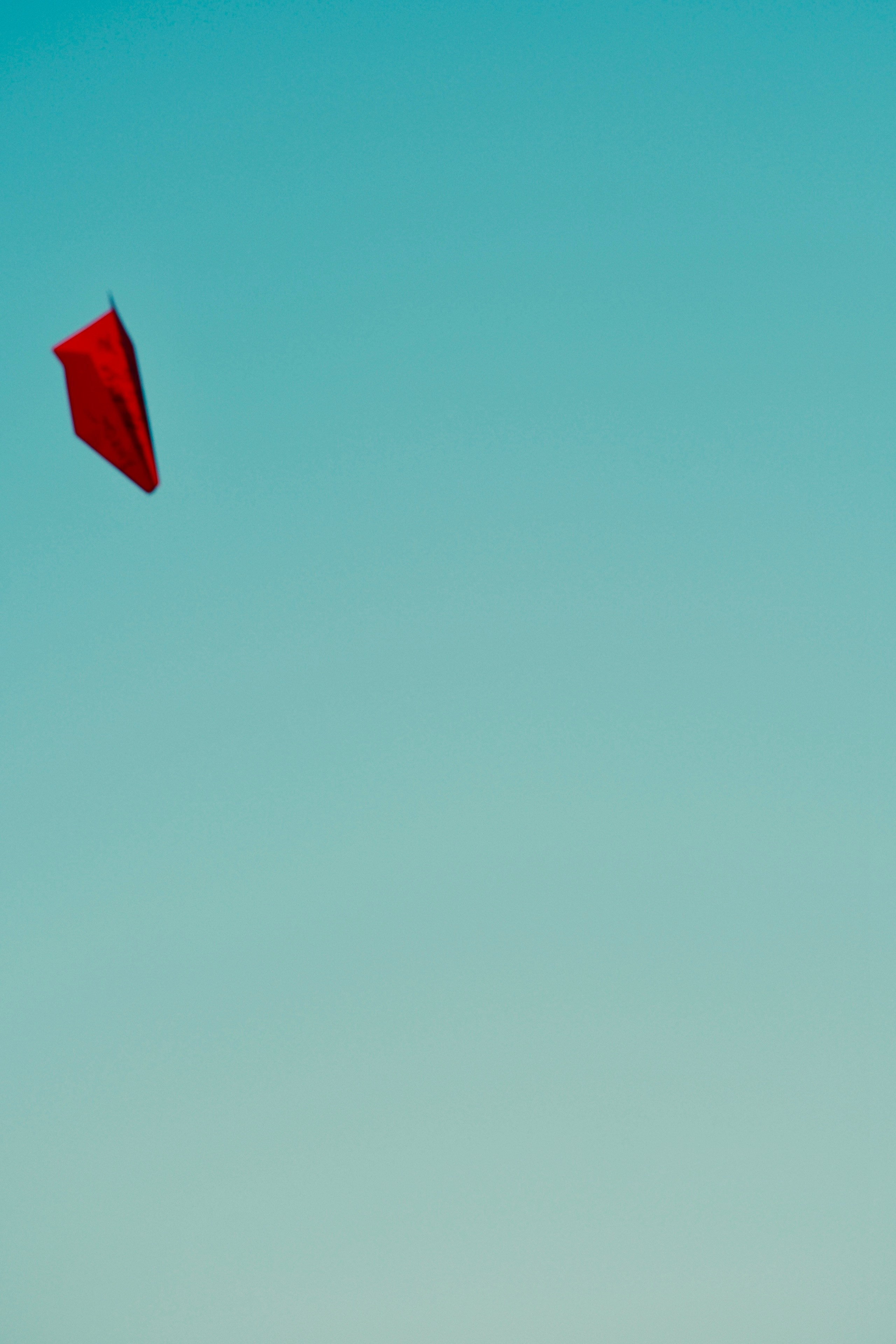 Фотограф и художник в Москве Евгения Нюнина