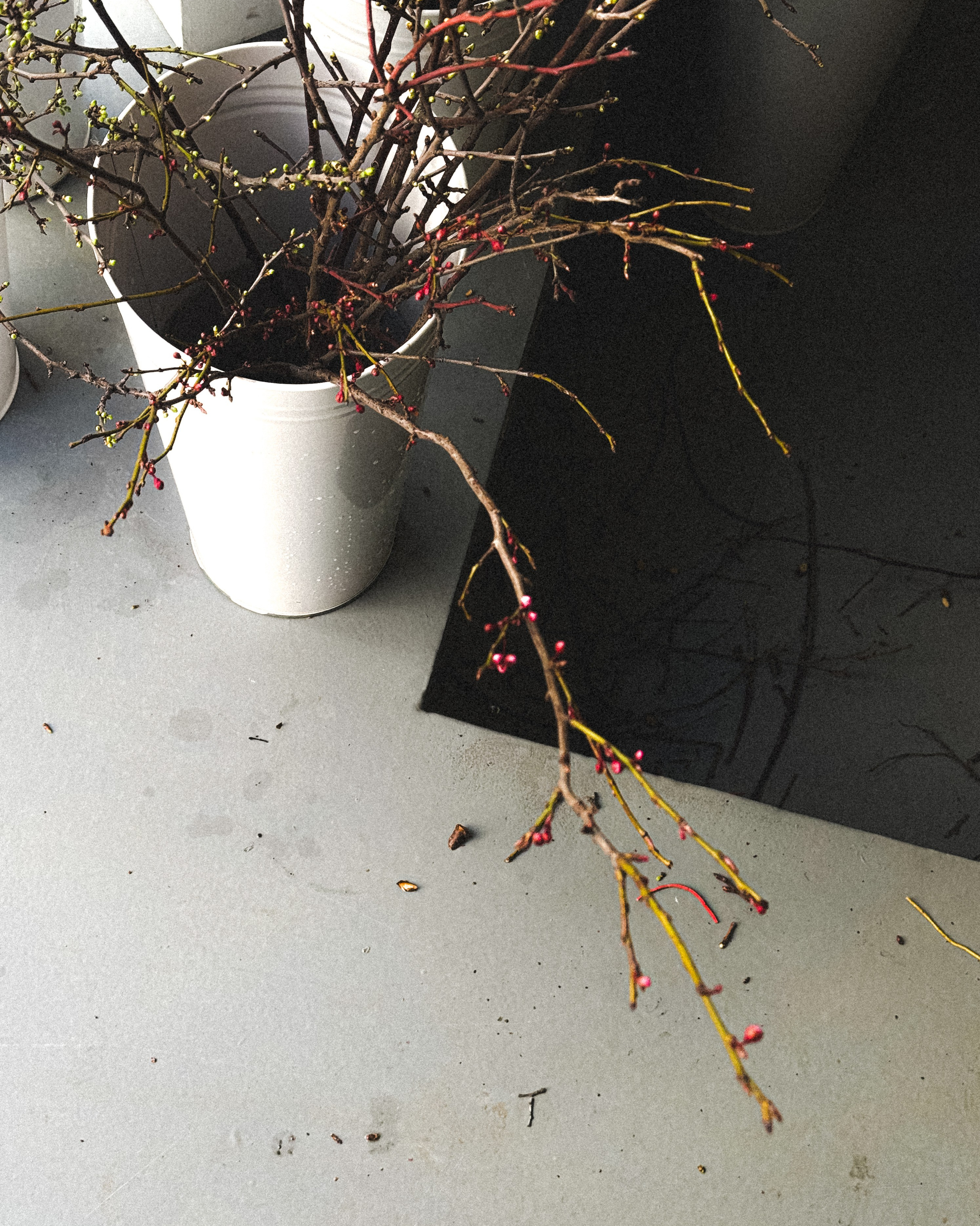 МАРАФОН ФОКУС НА ПРЕКРАСНОМ. Фотограф Анастасия Дмитриева