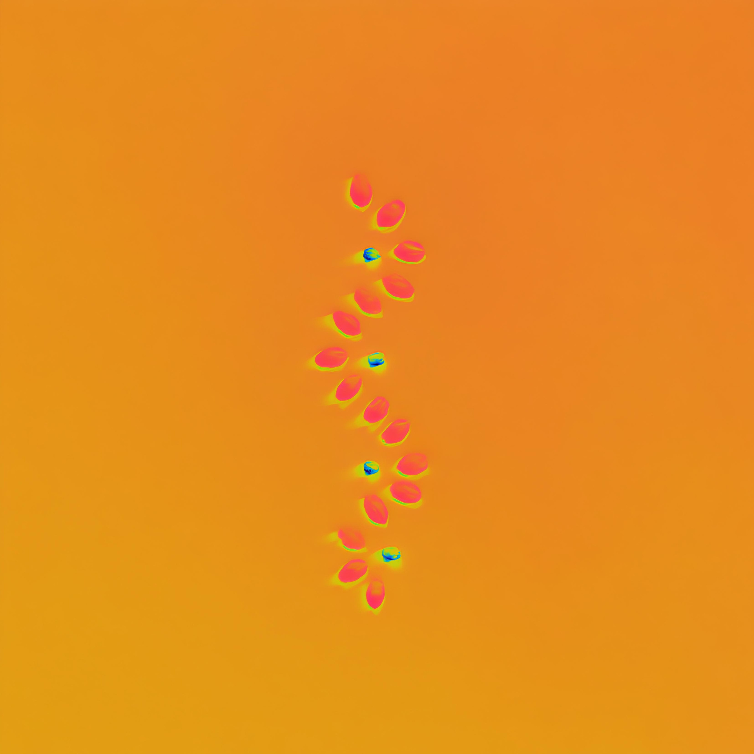 THERAPY LAYER. Сocoobird || Capturing the Essence of Your Brand in Photos & Videos