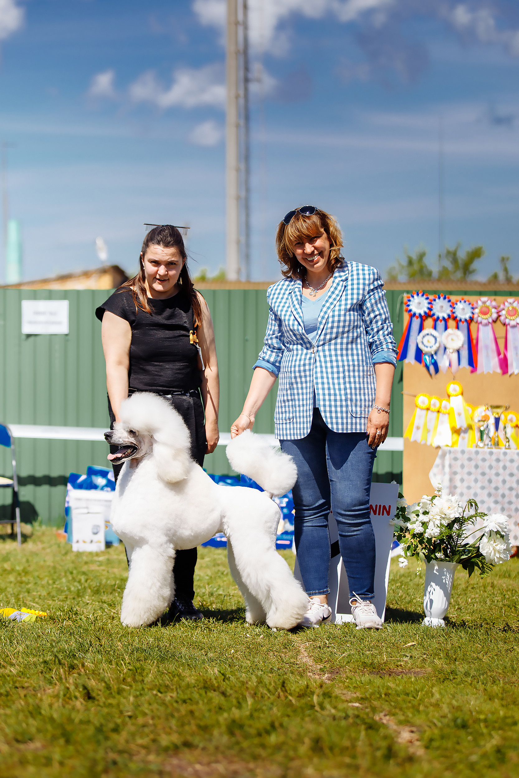 Монопородная выставка собак породы ПУДЕЛЬ РОО КЦ Нурэт РБ. Фотограф-анималист Саша Вязьмина