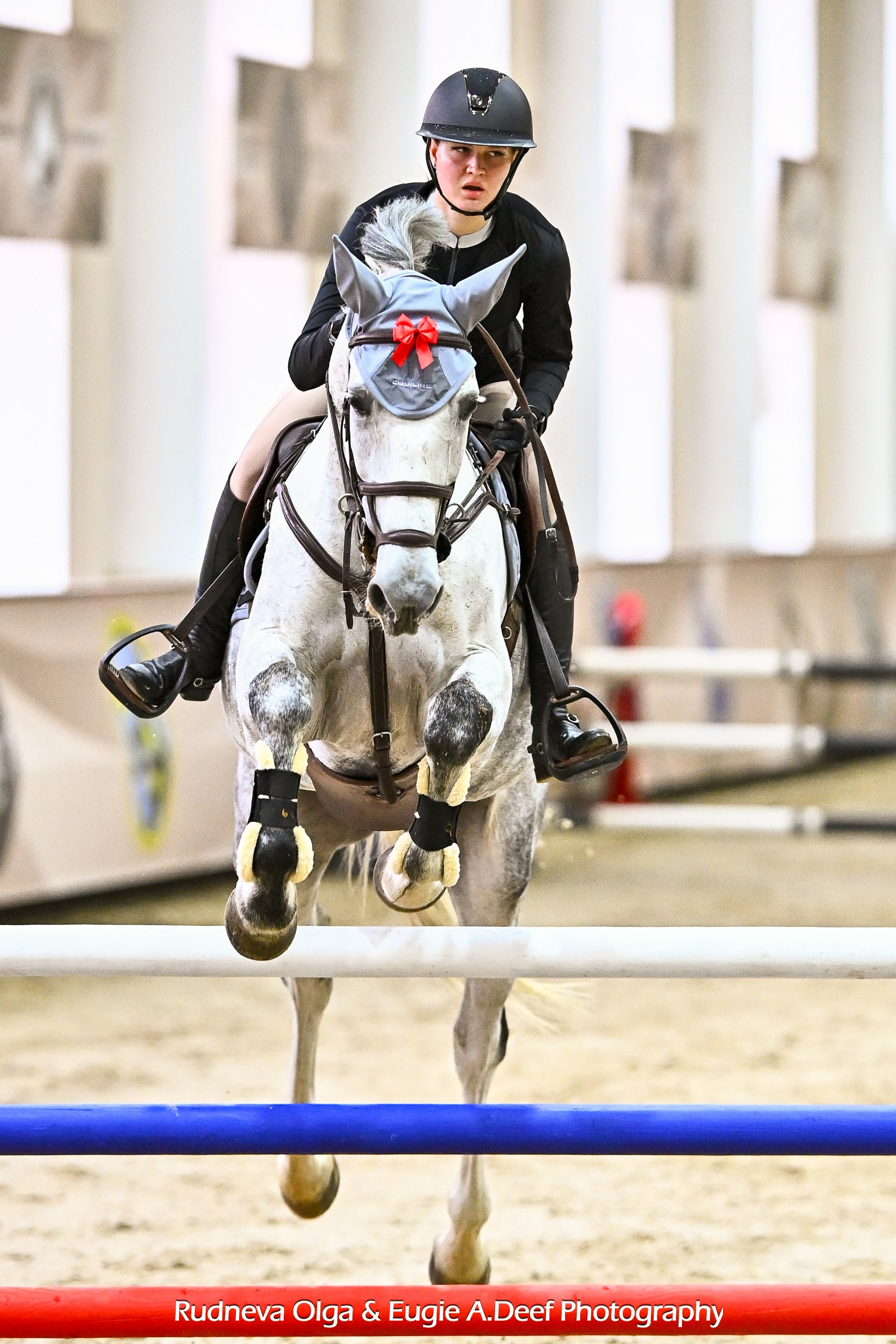 2025.03.15 КСК ВИВАТ-Россия! Муниципальные Соревнования по конкуру. ТУРНИРНАЯ КОННАЯ ФОТОГРАФИЯ, Руднева Ольга и Евгений Адеев