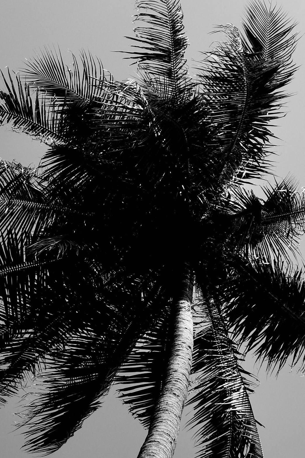 Фотограф настоящих эмоций в Новосибирске Пестова Дарья