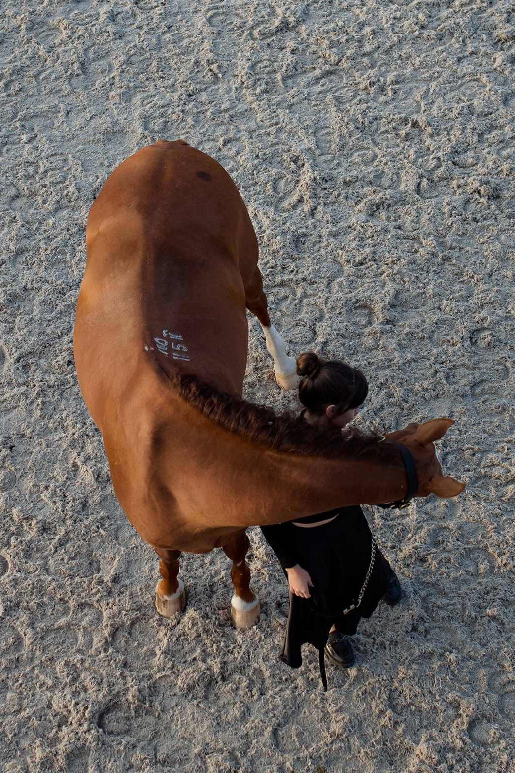 Информация про частные съемки