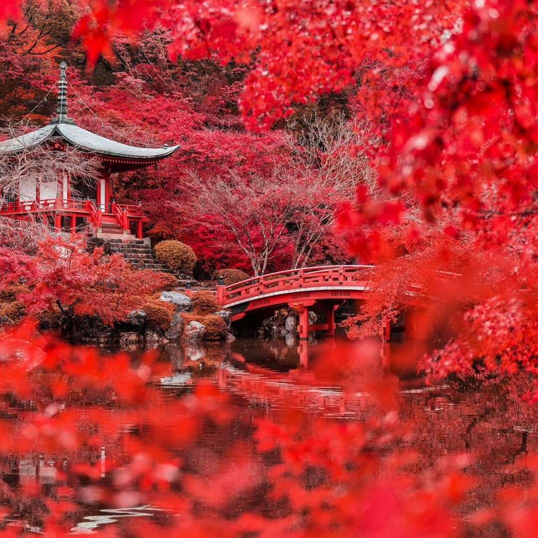 Круиз По Японии. Путешествуем вместе