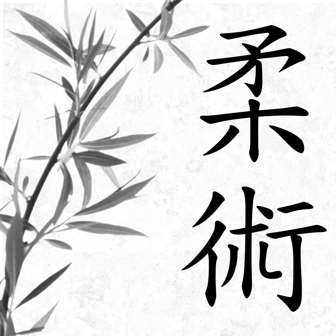 Дзю дзюцу (джиу джитсу). Школа Боевых Искусств «МОН»