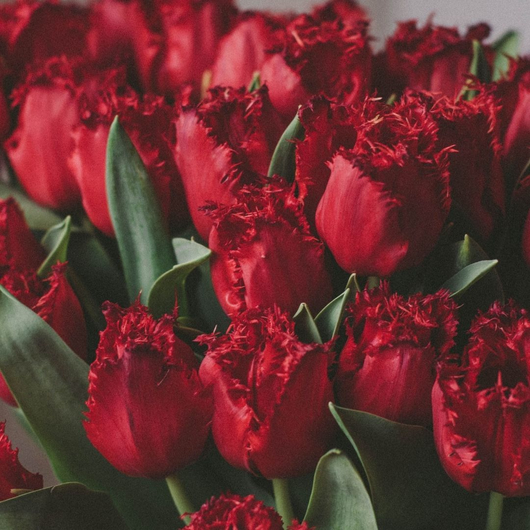 8 марта в Шалово-парк. Оздоровительный комплекс Шалово-парк Серебряные ключи