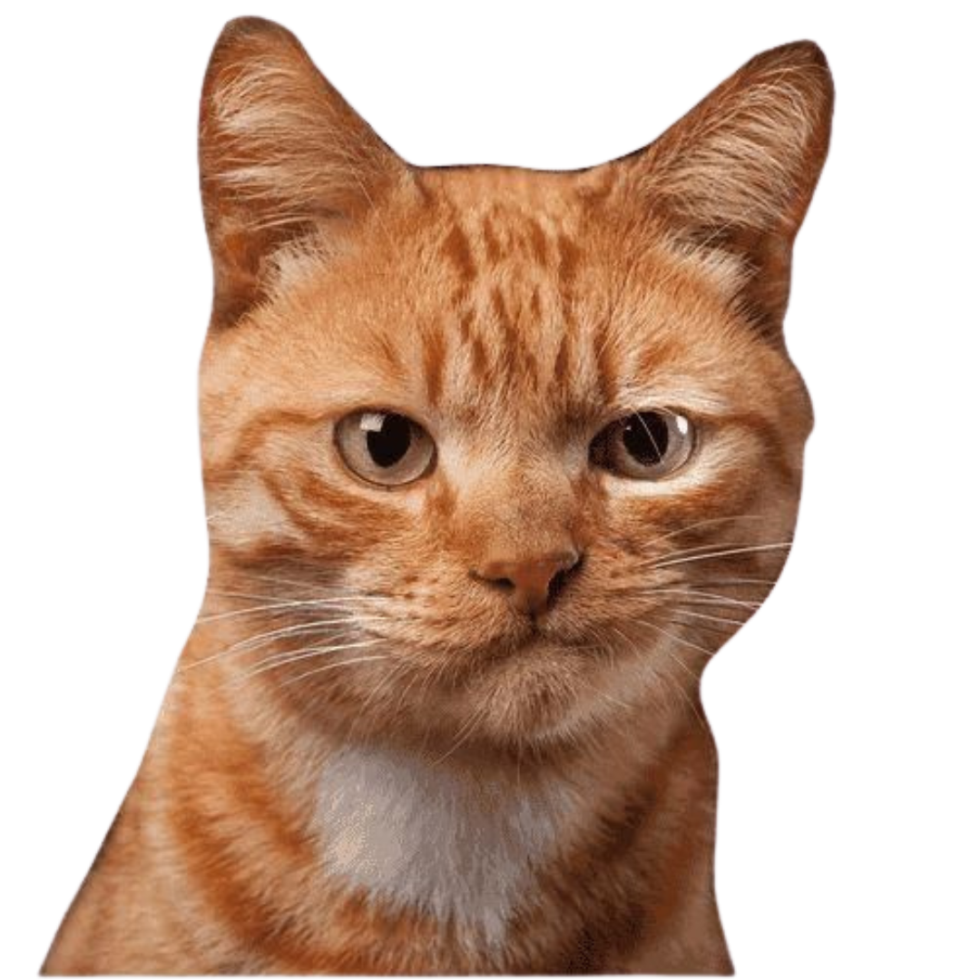 Юридические услуги