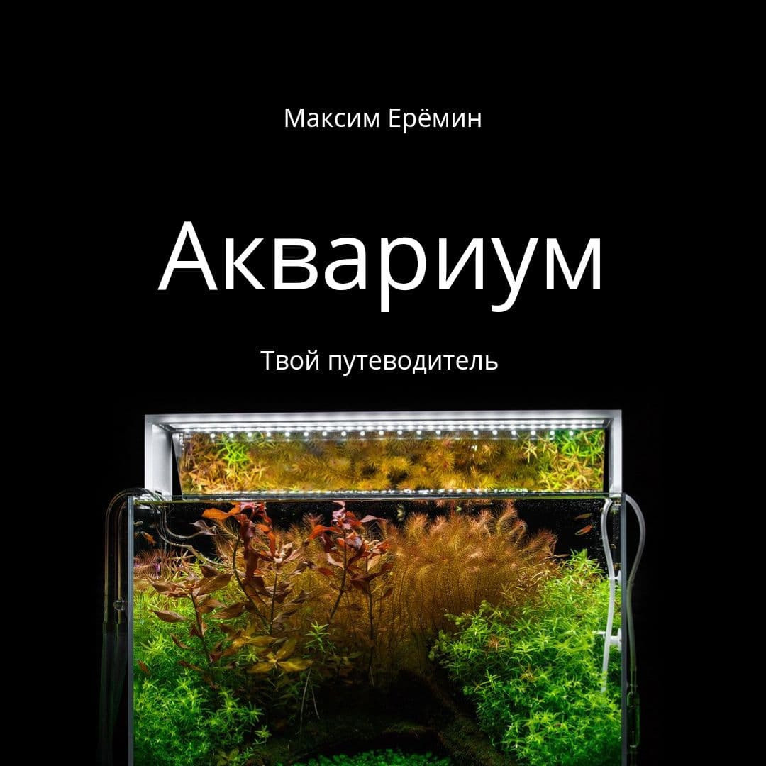 Аквариумный путеводитель. Максим Ерёмин. Аквариумист Максим Ерёмин. Aqua Maxim