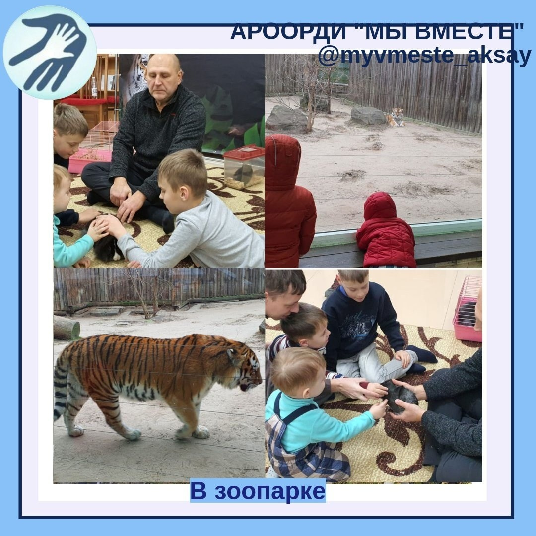 Зимние приключения в зоопарке: Удивительный мир грызунов