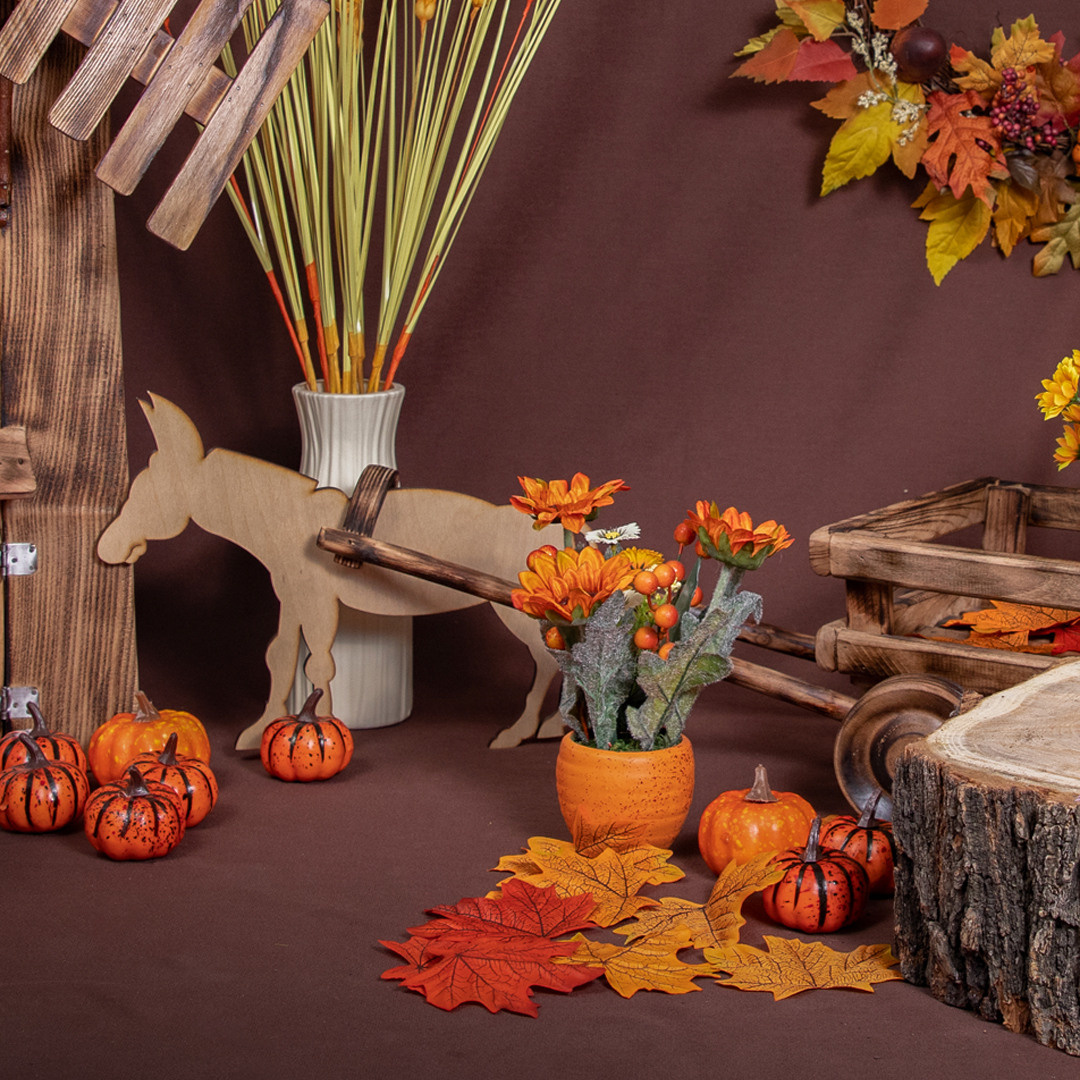 Костюмированные фотосессии в детских садах города Алматы. Детский фотограф в Алматы, виньетки, выпускной альбом Алматы