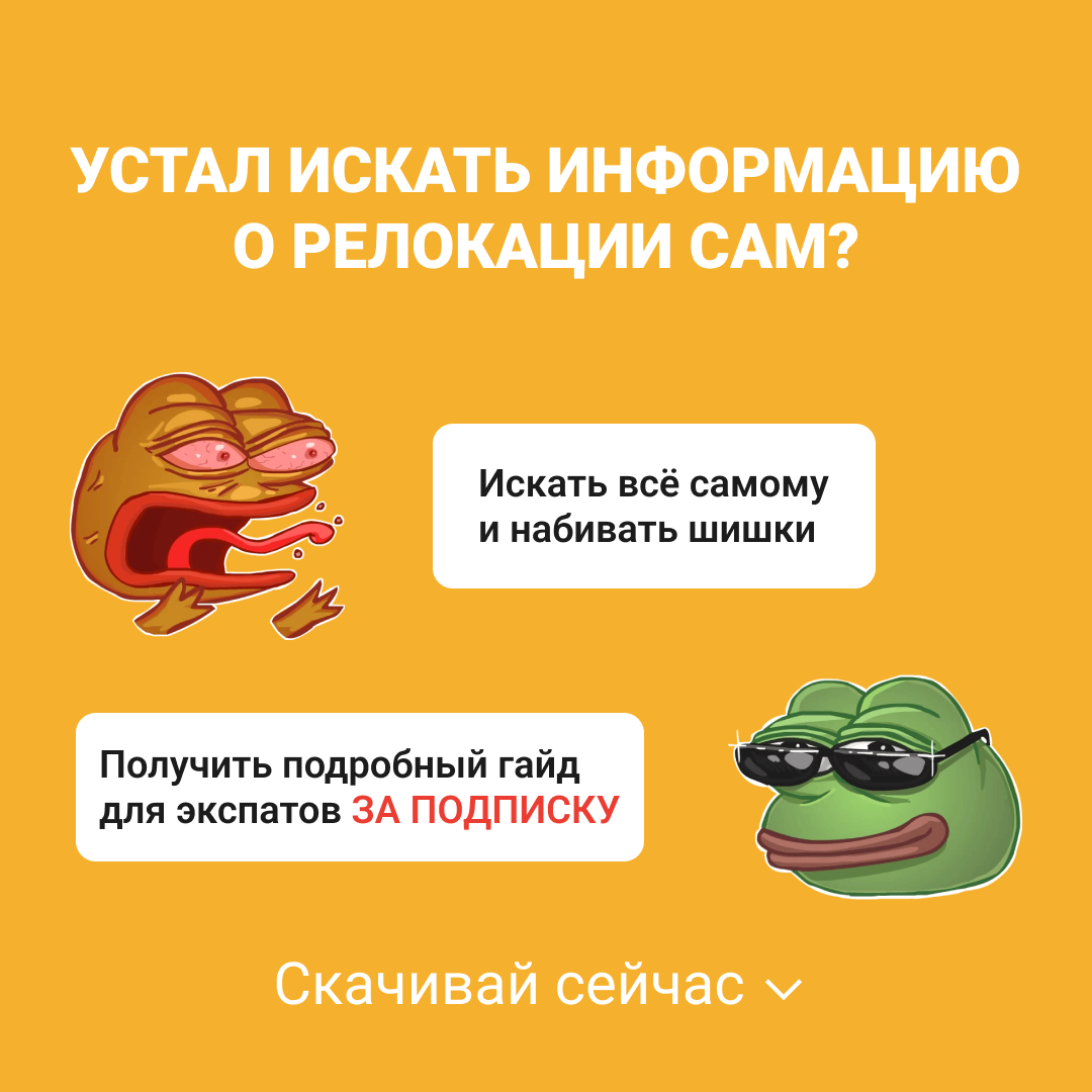 RExpat.io — Сервис для переезда и комфортной жизни заграницей. Таргетолог Кирилл Мольков, таргетирую по всему миру