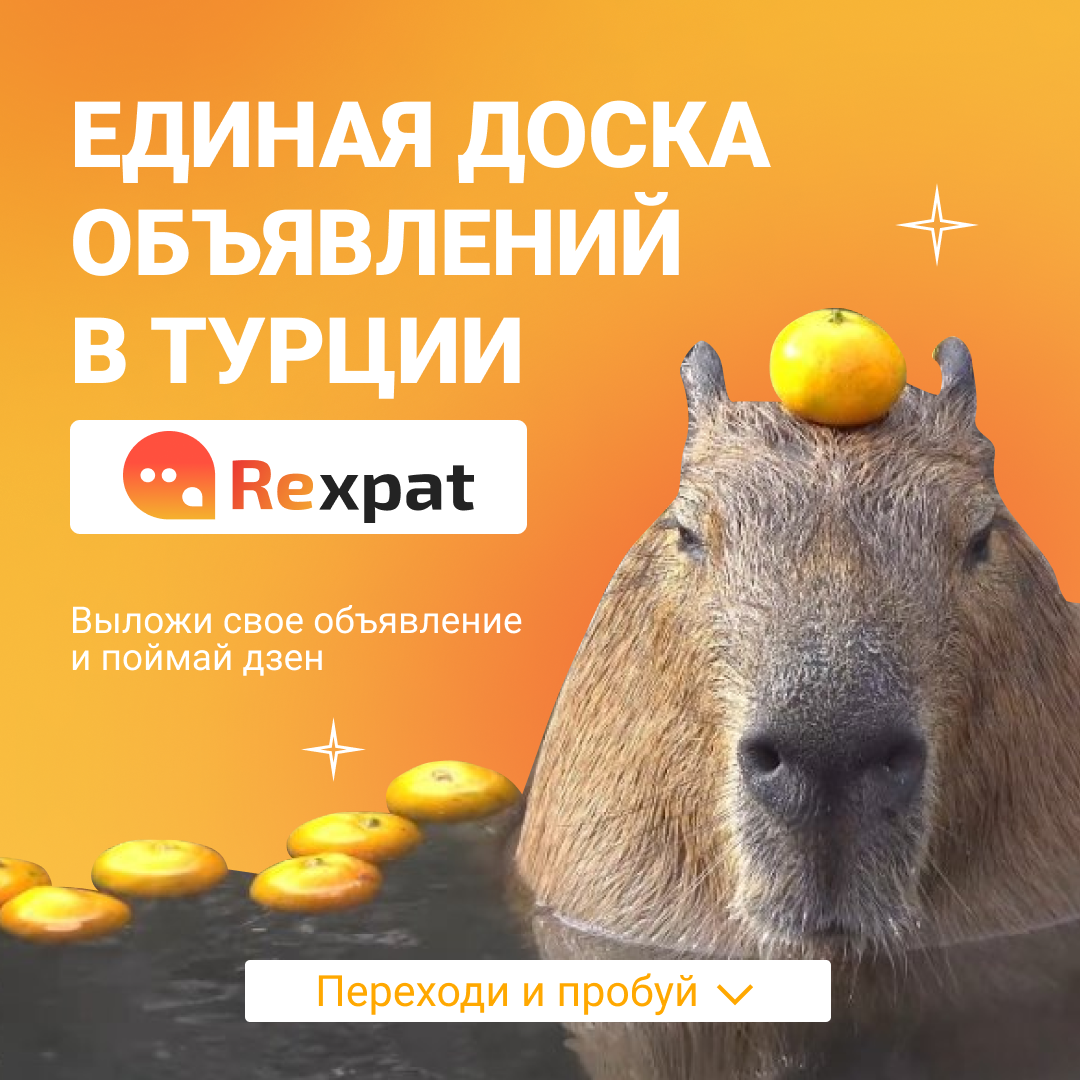 RExpat.io — Сервис для переезда и комфортной жизни заграницей. Таргетолог Кирилл Мольков, таргетирую по всему миру