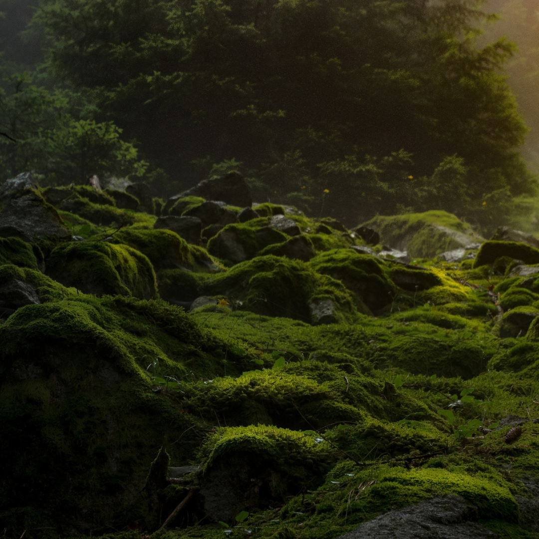 Уникальные ароматы. Индивидуальный аромат для свечей. Свечи и саше из гипса. PARFDESIGN — премиальные аромасвечи, свечи-цветы, аромадиффузоры и аромасаше под вашим брендом под ключ. Производство от 2-х дней