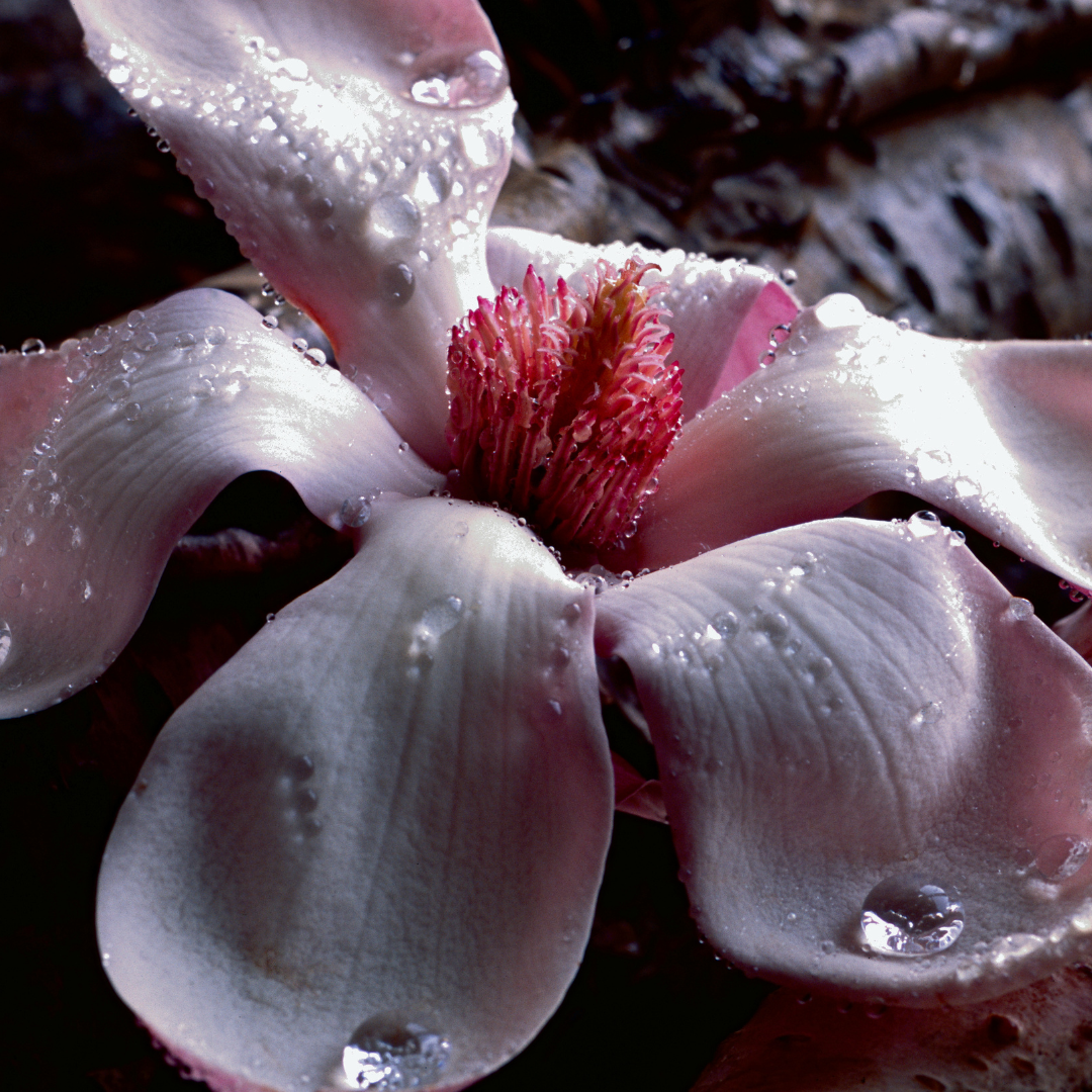 Уникальные ароматы. Индивидуальный аромат для свечей. Свечи и саше из гипса. PARFDESIGN — премиальные аромасвечи, свечи-цветы, аромадиффузоры и аромасаше под вашим брендом под ключ. Производство от 2-х дней