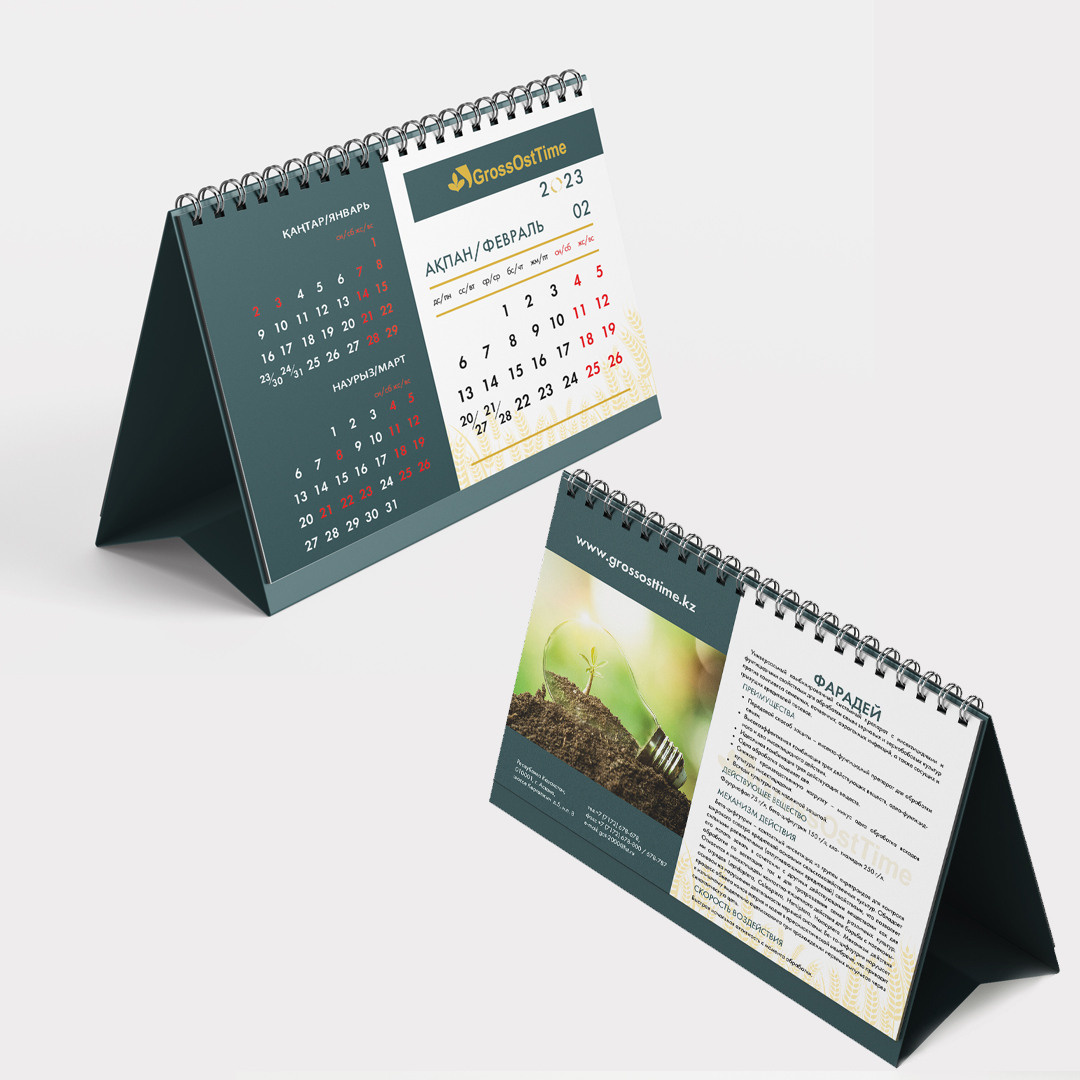 Графический дизайн. Профессиональный фотограф в Астане