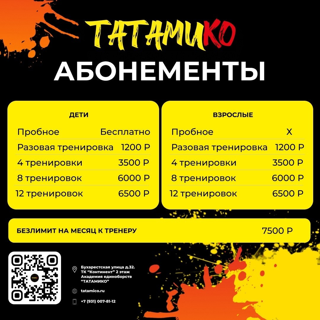 Стоимость. Академия Единоборств Татамико