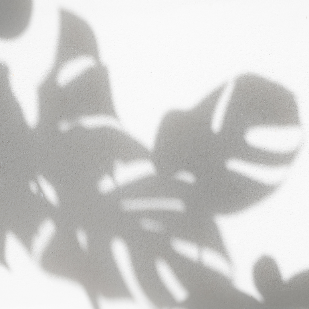 Контакты. BLISSKA EVENTS