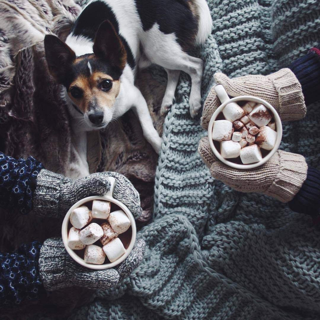 Как профессионально сделать панораму?