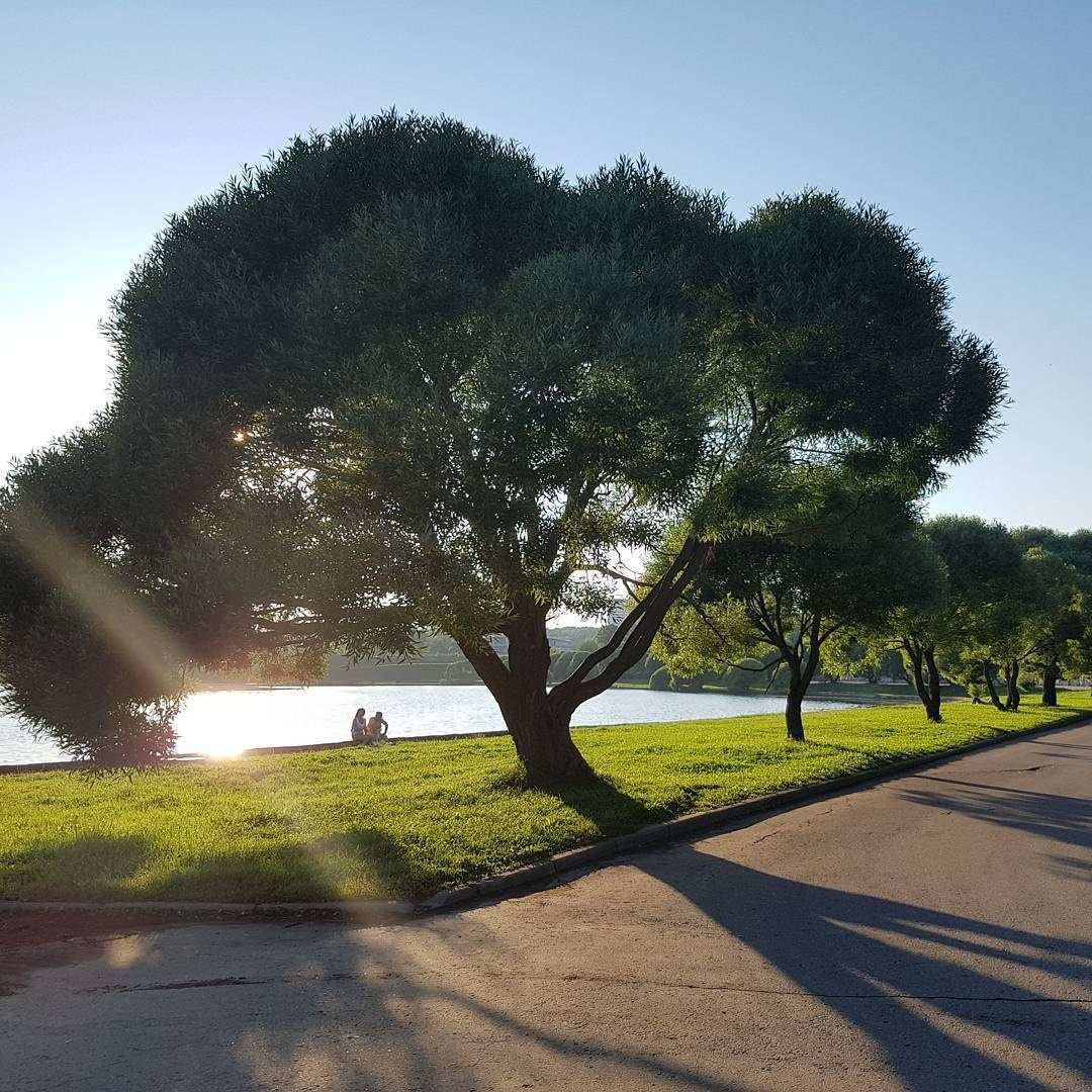 Места для фотосессии в Зеленограде